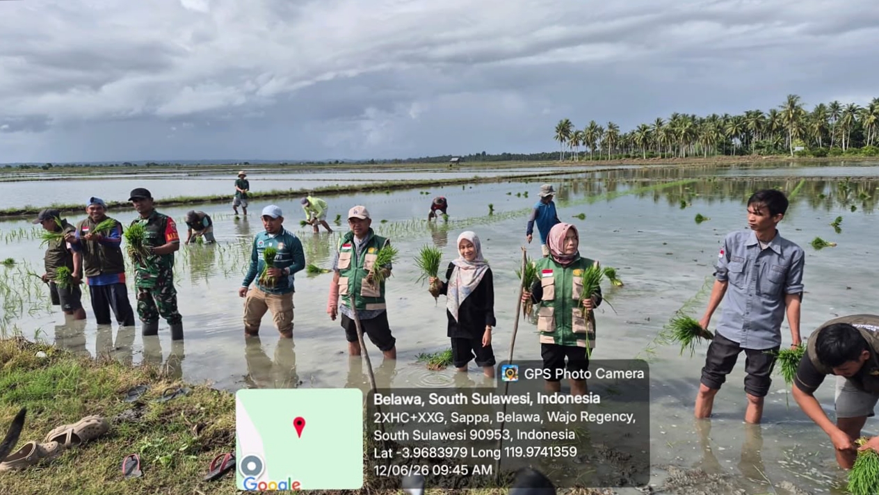 Gerakan Tanam Padi Serentak di Desa Sappa Perkuat Ketahanan Pangan